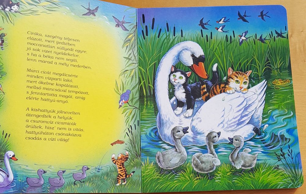 Vízparti kalandok / Leporelo / Dobrodružstvá pri vode