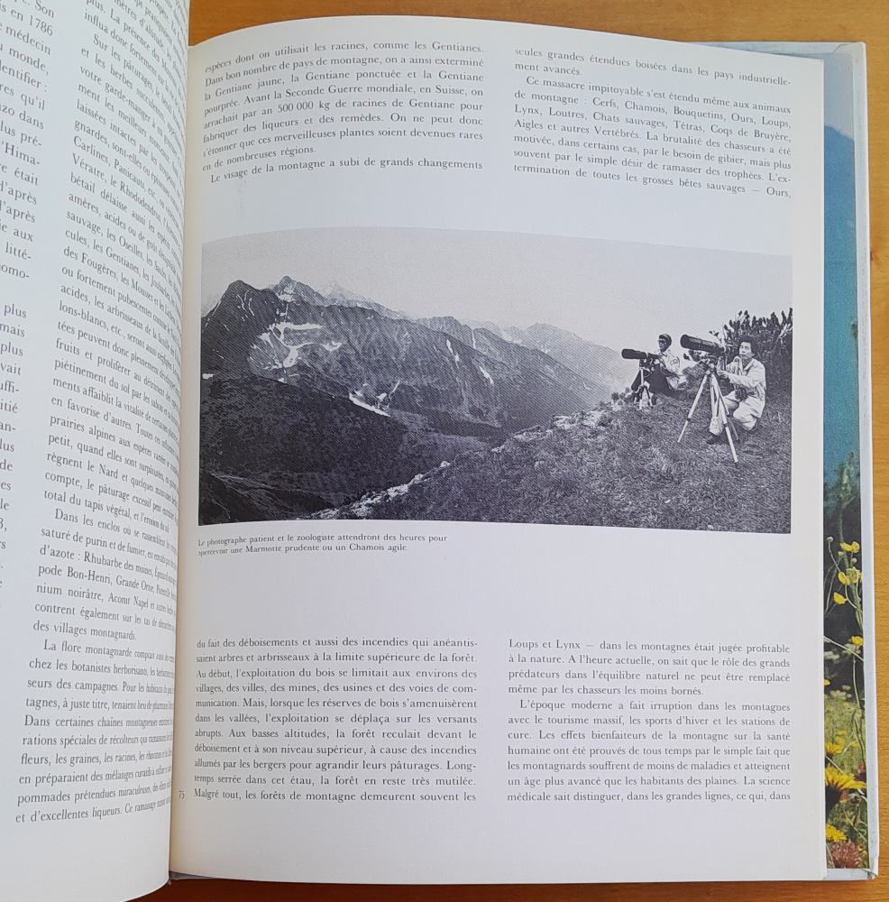 La Vie des Montagnes / Život hôr