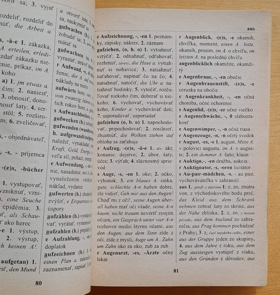 Nemecko - slovenský a Slovensko - nemecký vreckový slovník