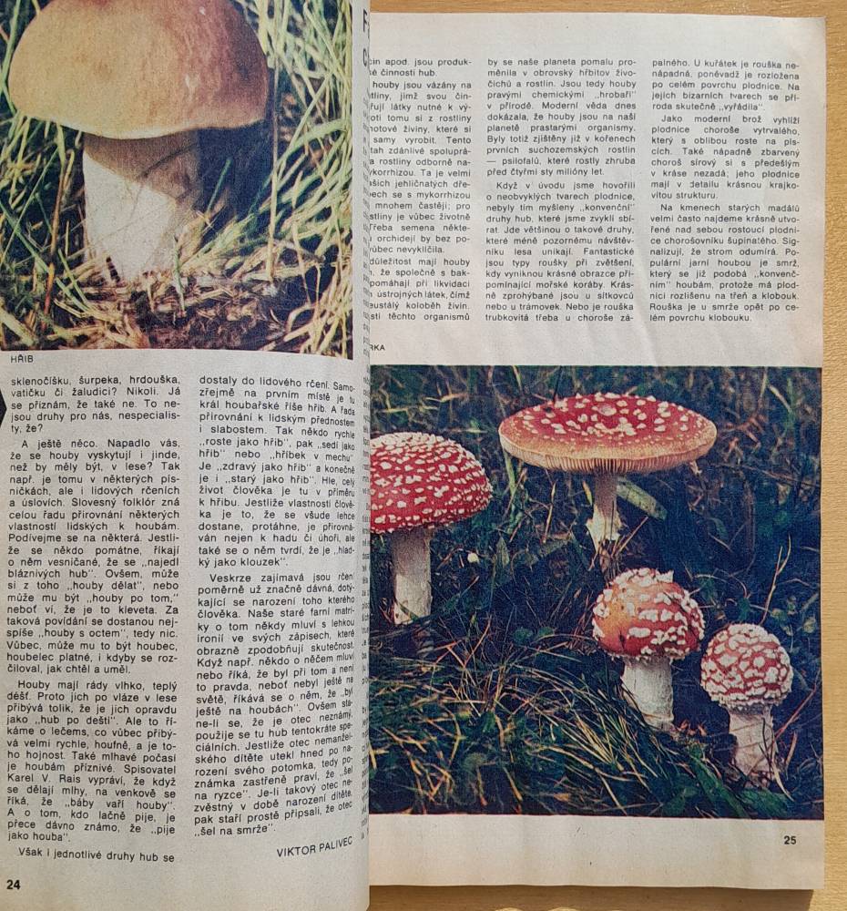 Hobby 8 / Knihovna Květy