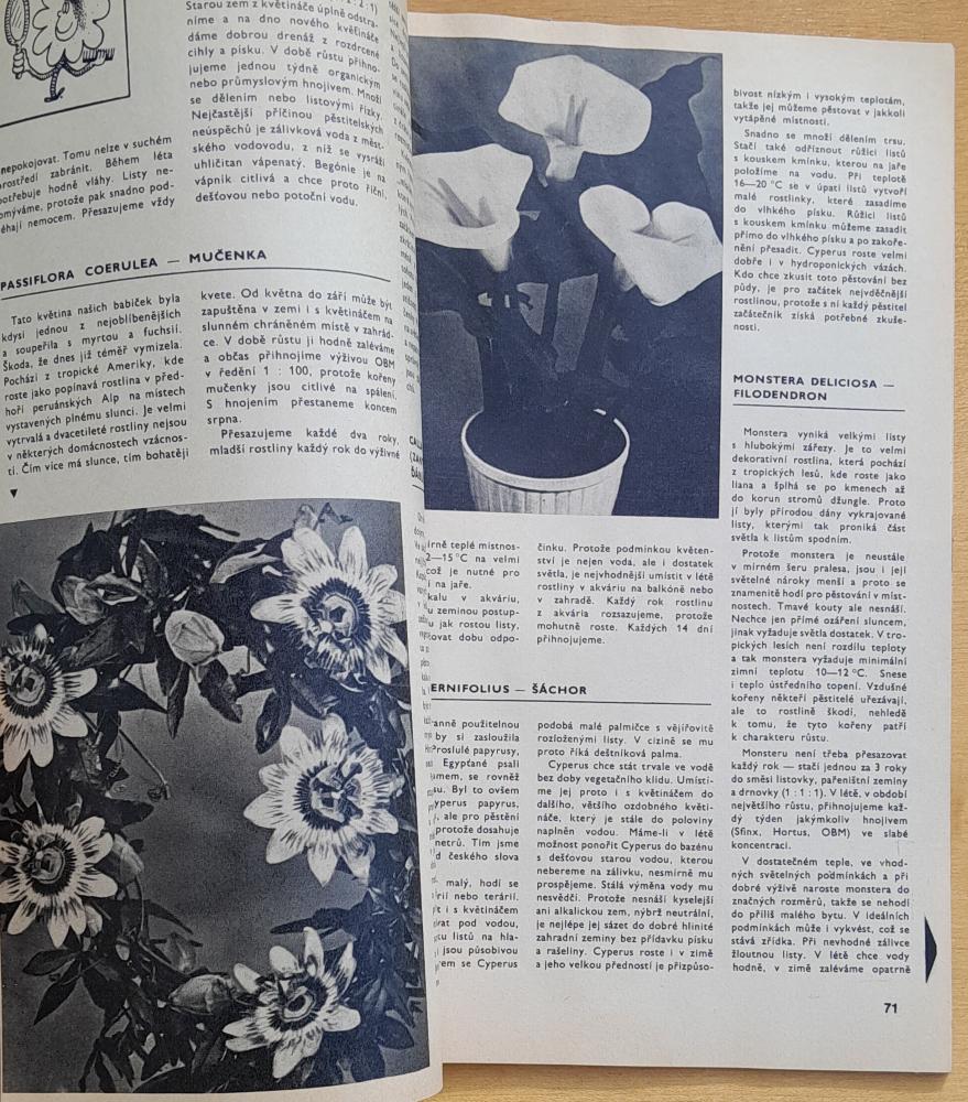 Hobby 10 / Knihovna Květy