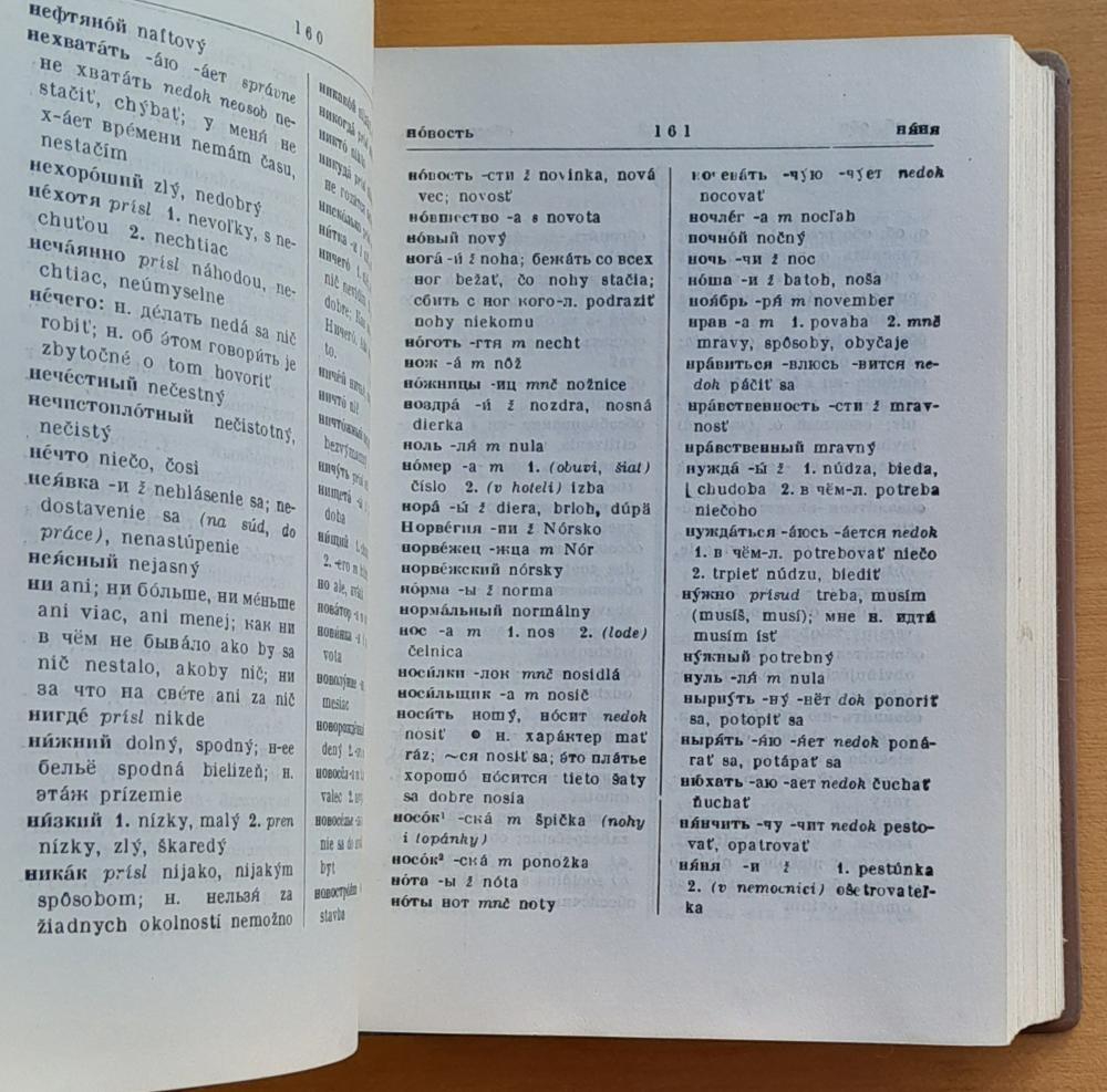 Rusko-slovenský / Slovensko-ruský vreckový slovník