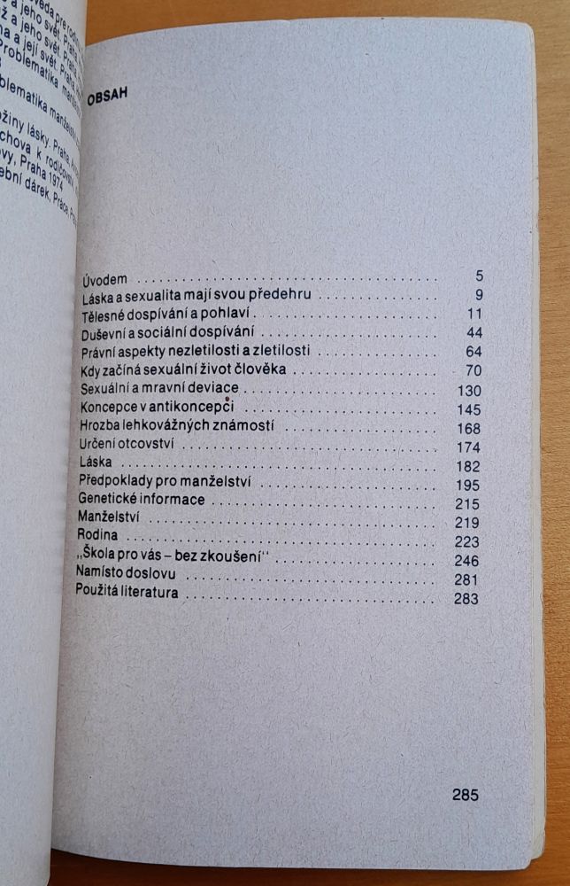 Moderní láska a sexualita, Manželství a rodina