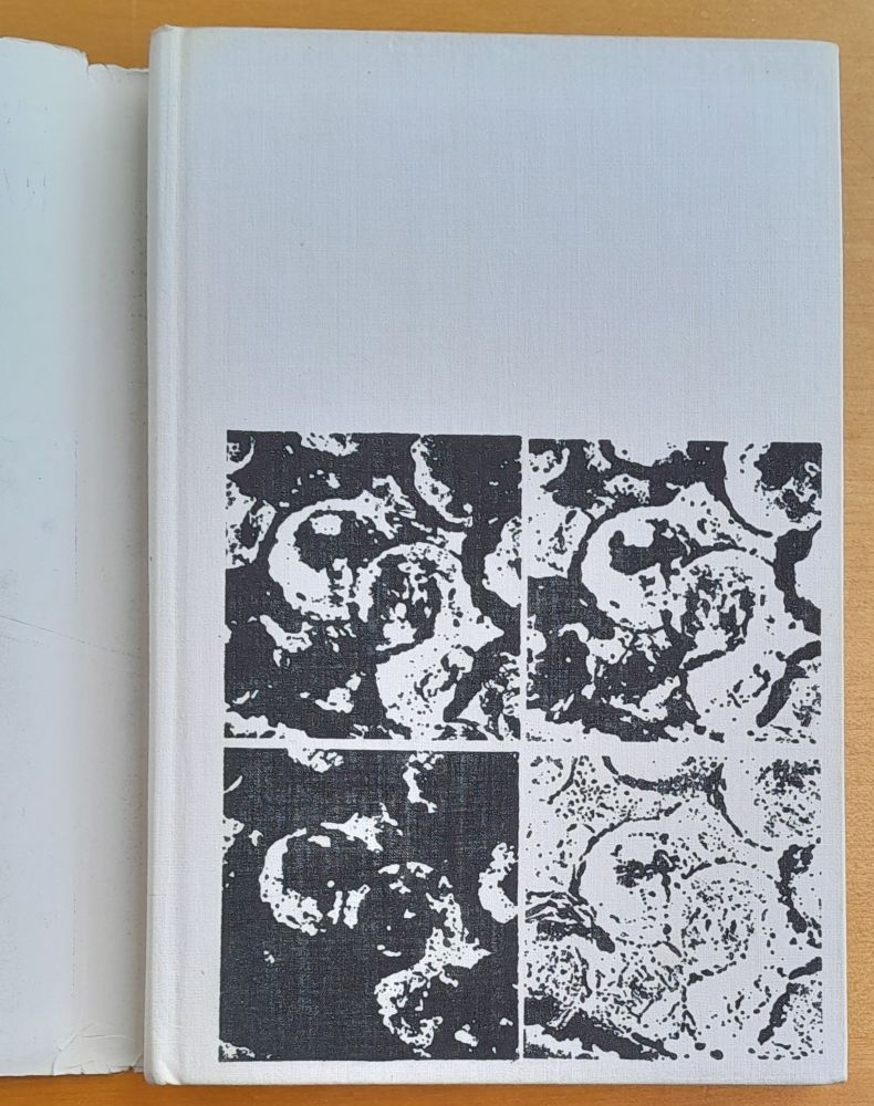 Na západe nič nového