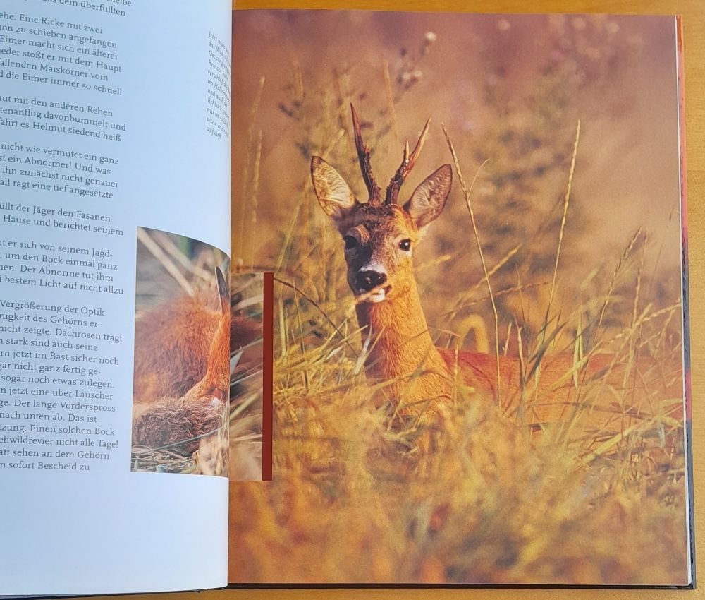 Mit Waidmanns Herzen / Faszinierende Augenblicke der Jagd