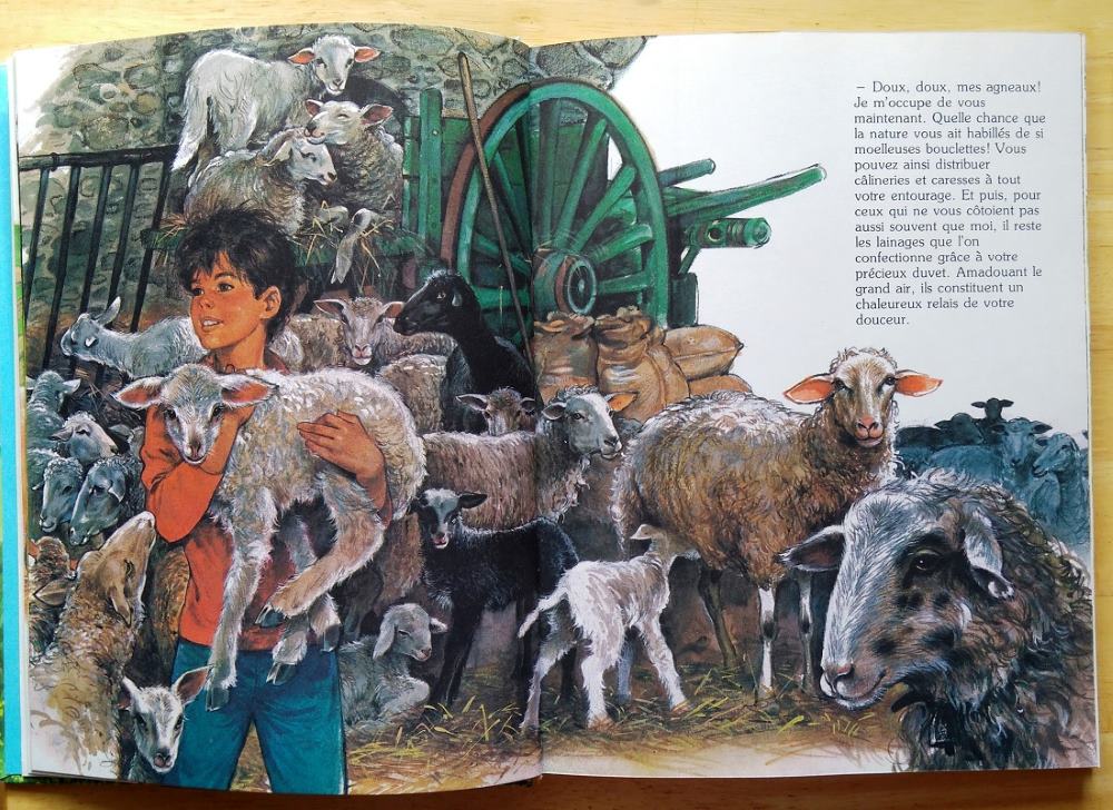 Mon beau livre des Animaux