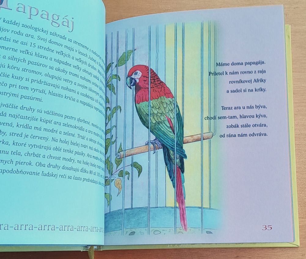 Štebotavé veršíky alebo Čo vieme o vtákoch