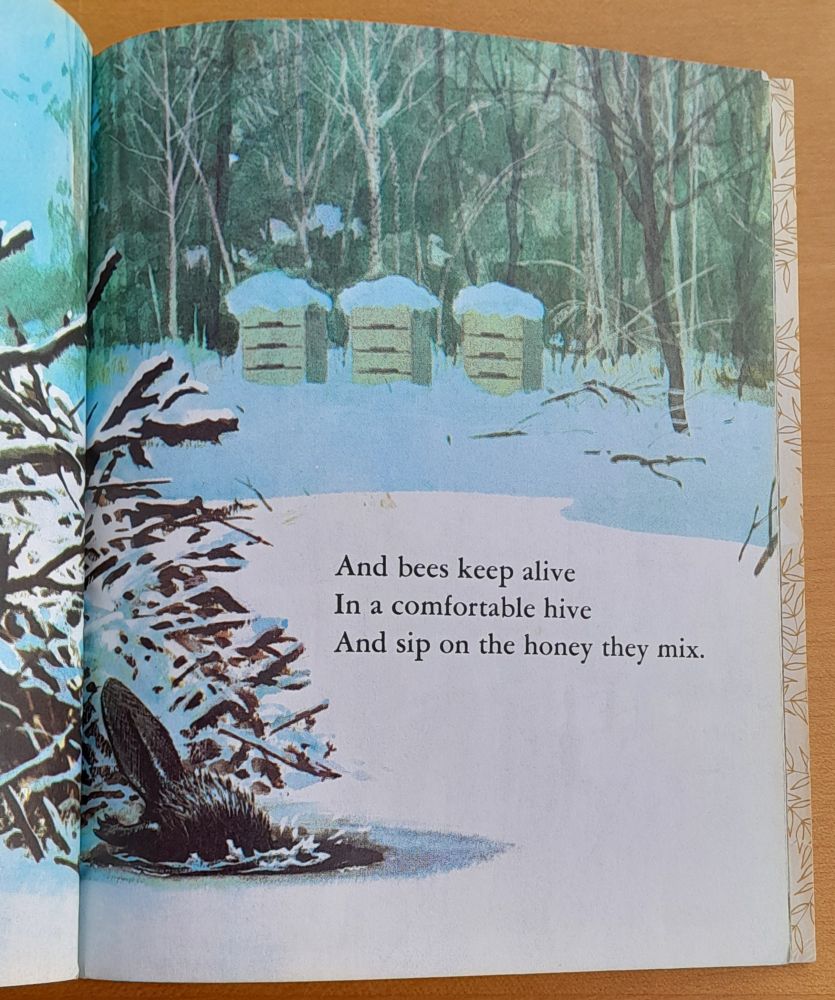 Where is the Bear? / Walt Disney
