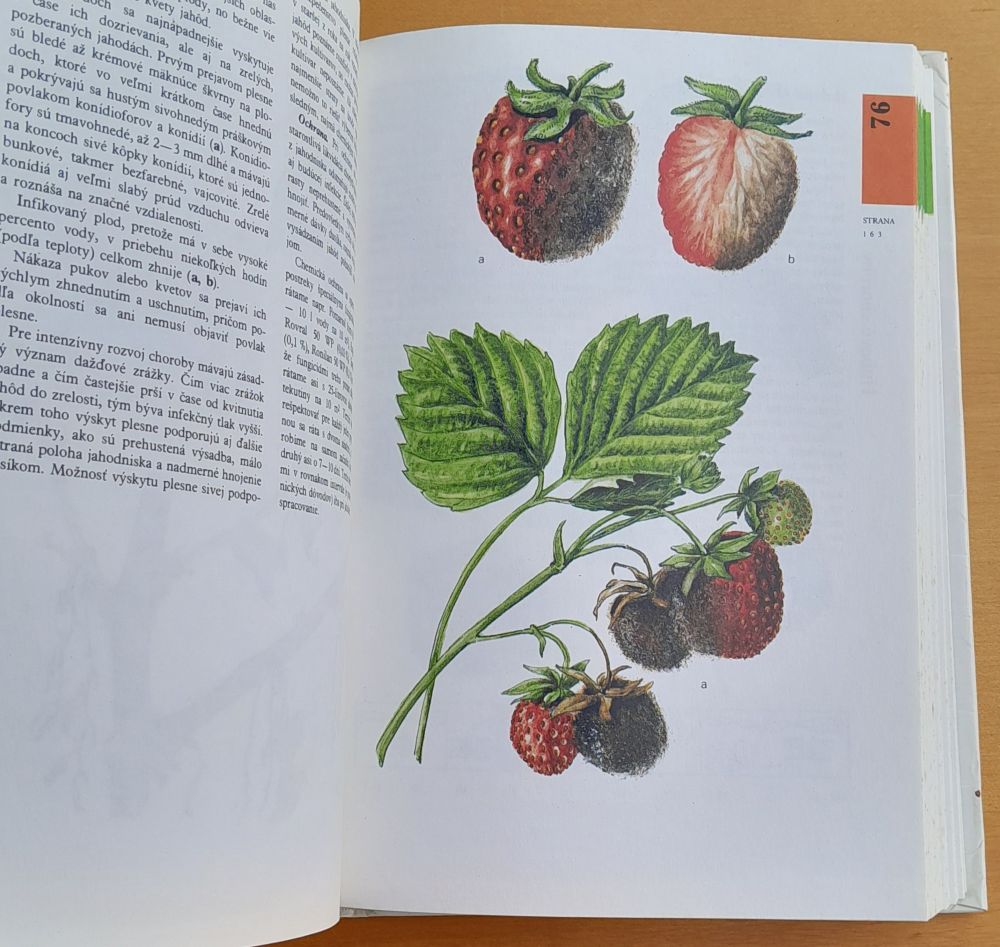 Atlas chorôb a škodcov ovocných drevín a viniča