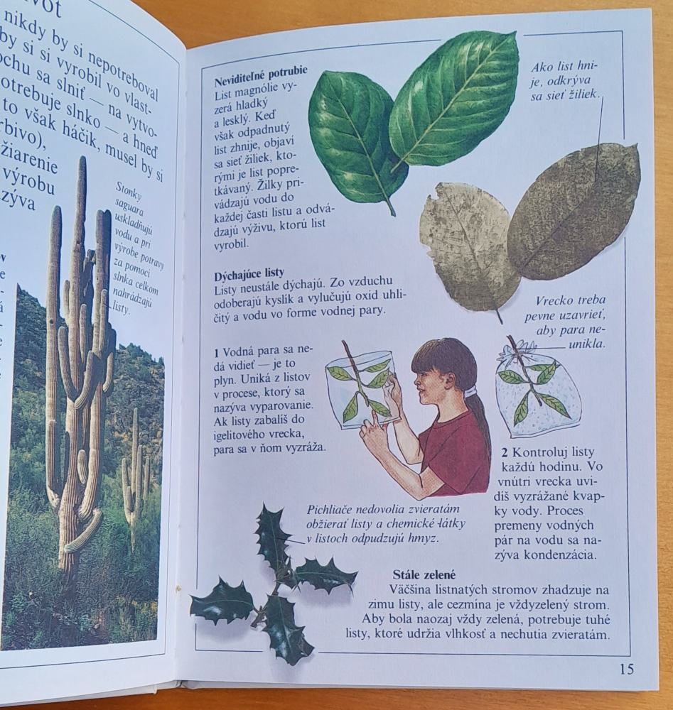 Stromy / Zvedavými očami