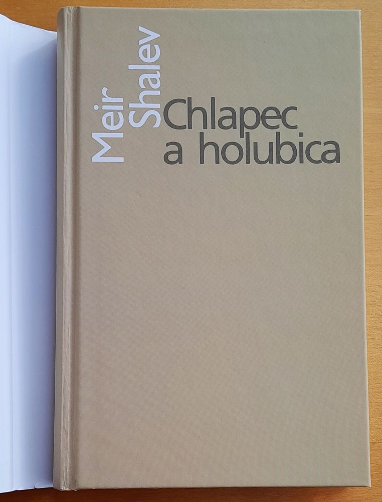 Chlapec a holubica