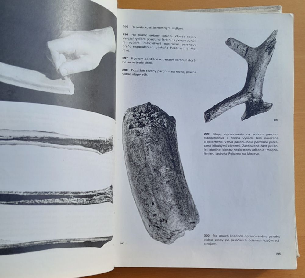 Veľký obrazový atlas pravekého človeka