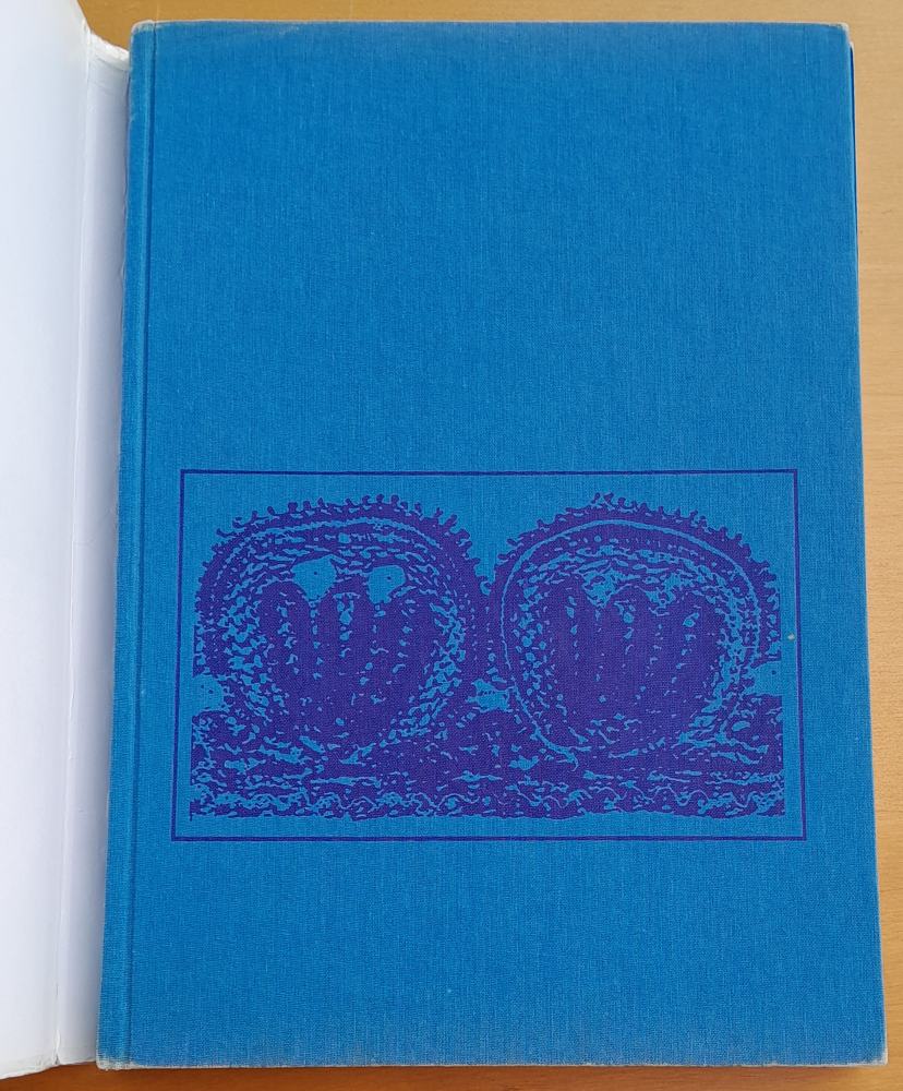 Slovenská ľudová paličkovaná čipka / Redakcia Urob si sám