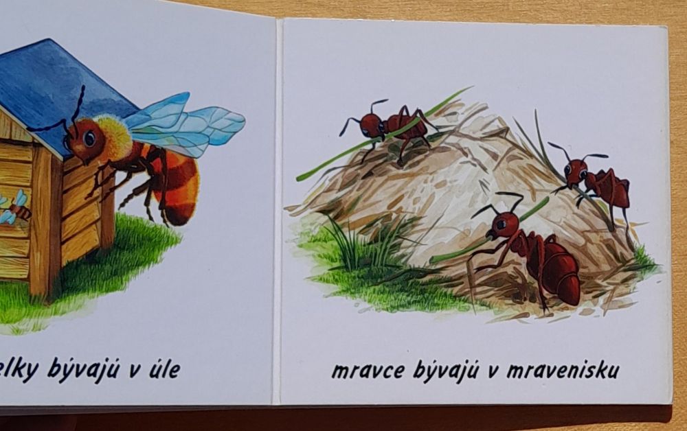 Kde bývajú zvieratká - Minileporelo