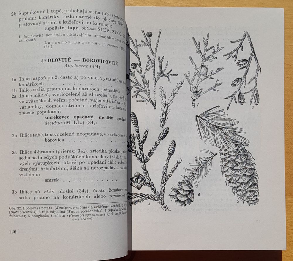 Kľúč na určovanie rastlín