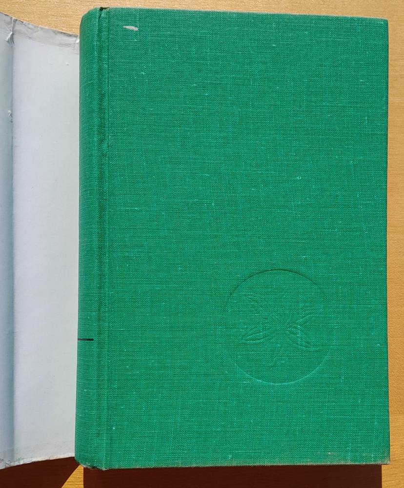 Lesné rastliny vo fotografii
