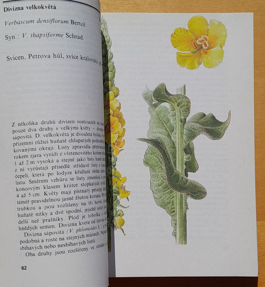 Zelená lékárna - Edice Planeta