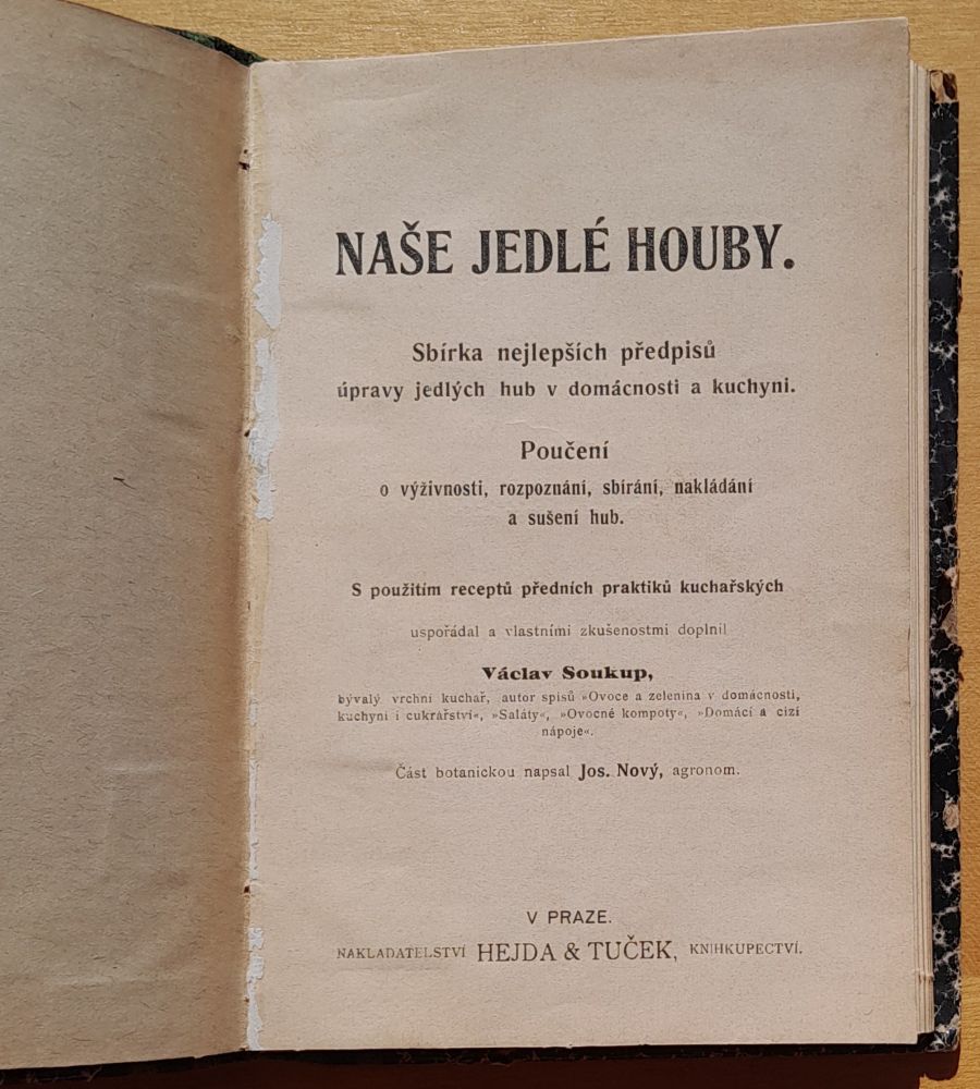 Naše jedlé houby