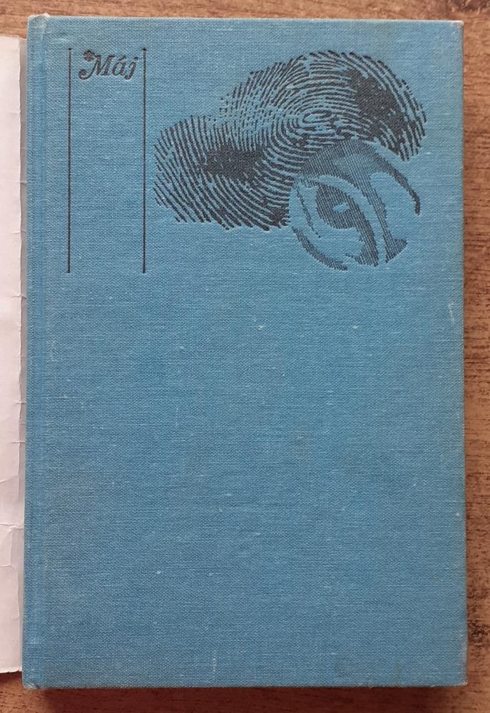 Cudzinec v Amsterdame / detektívka