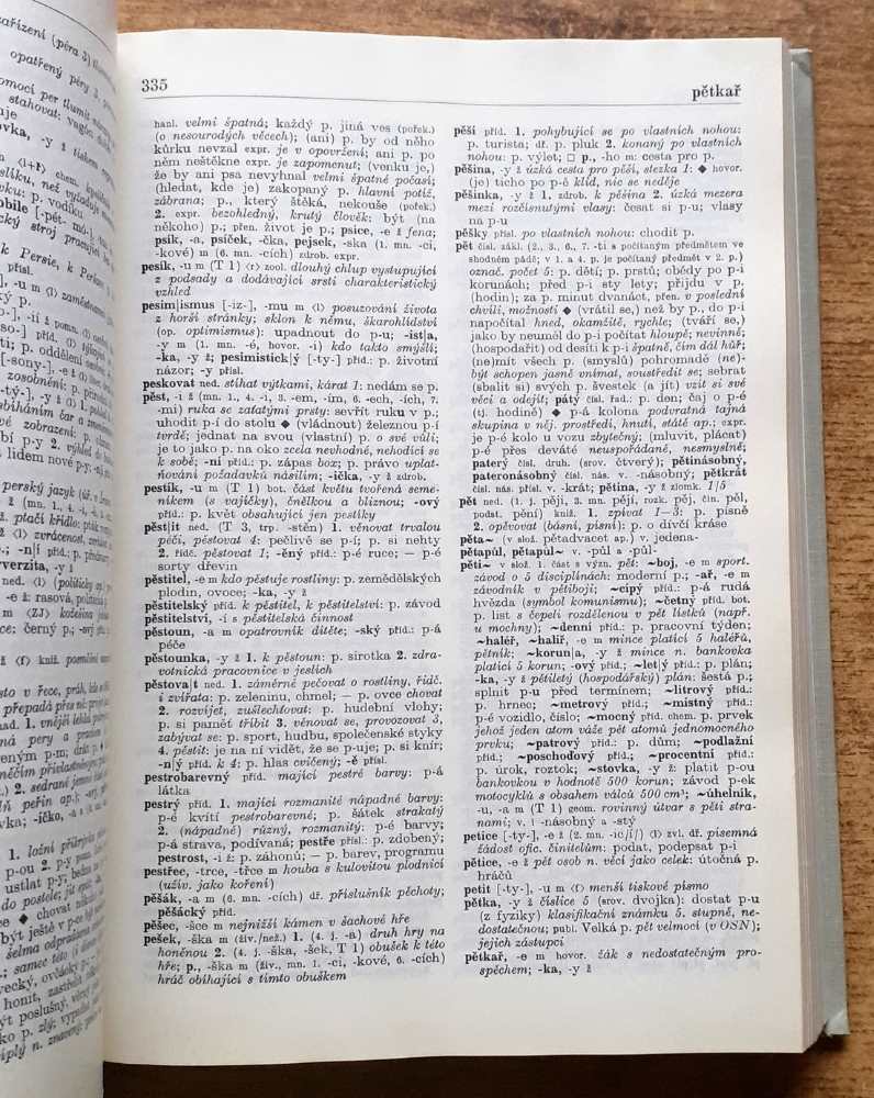 Slovník spisovné češtiny pro školu a veřejnost