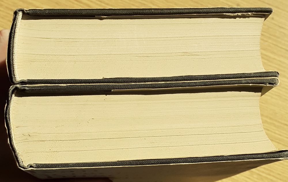 Poľovníkove zápisky, Rudin a iné / Otcovia a deti, Nešťastnica