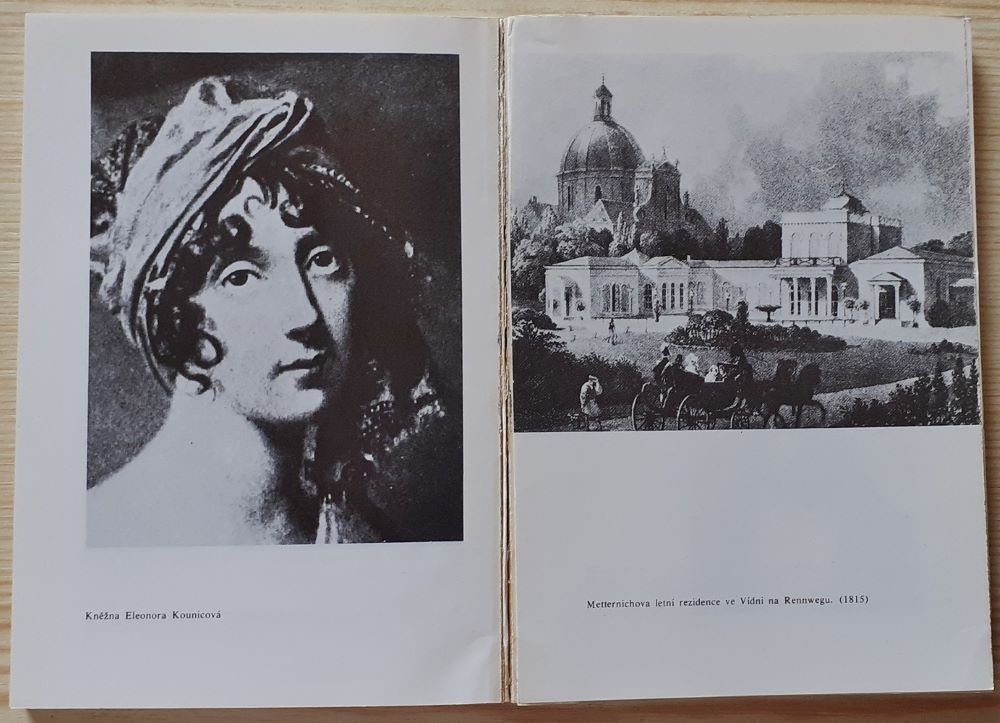 Metternich kontra Napoleon