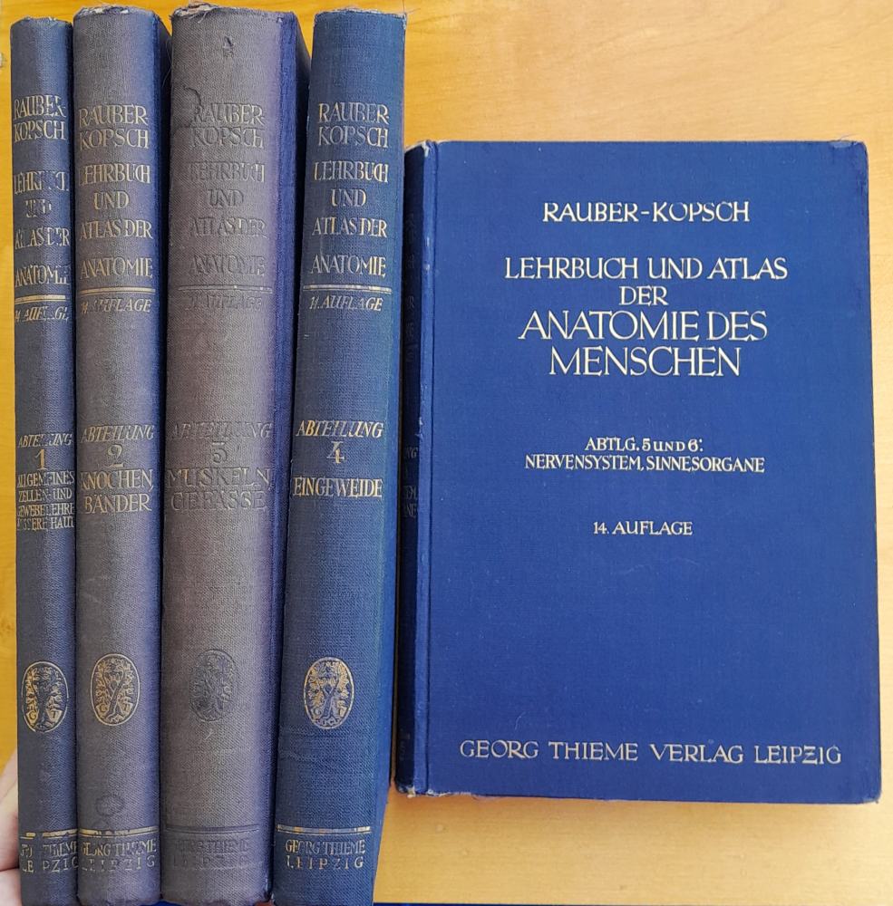 Lehrbuch und Atlas der Anatomie des Menschen in sechs Abteilungen