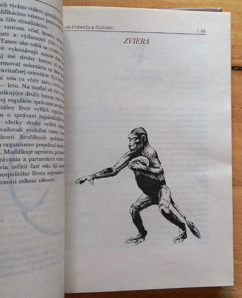 Od zvieraťa k človeku