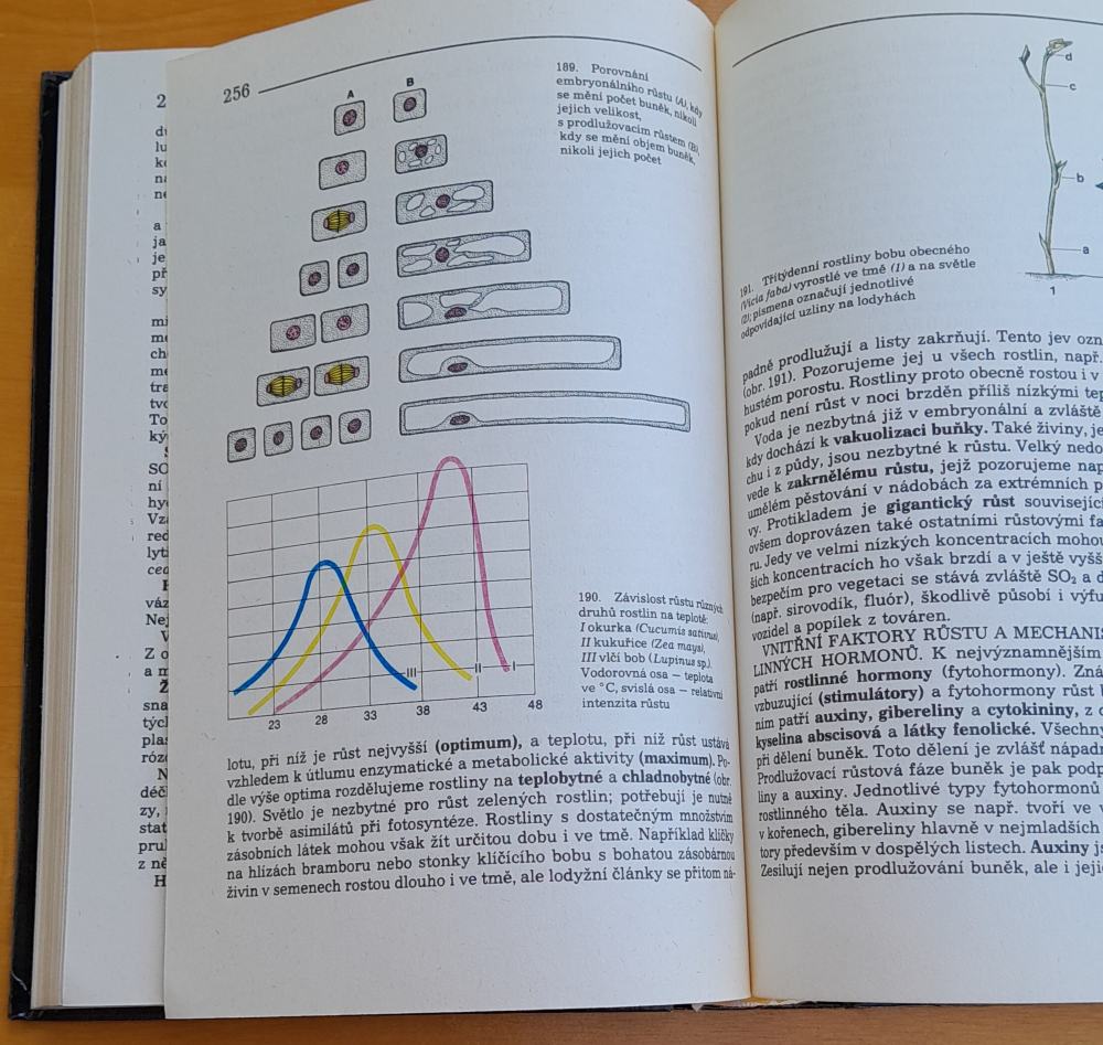 Přehled biologie