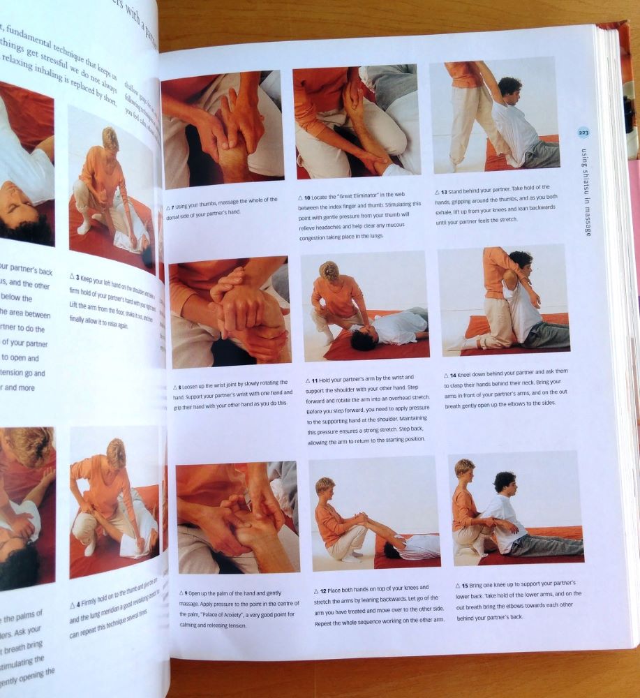 The illustrated guide to Massage and Aromatherapy