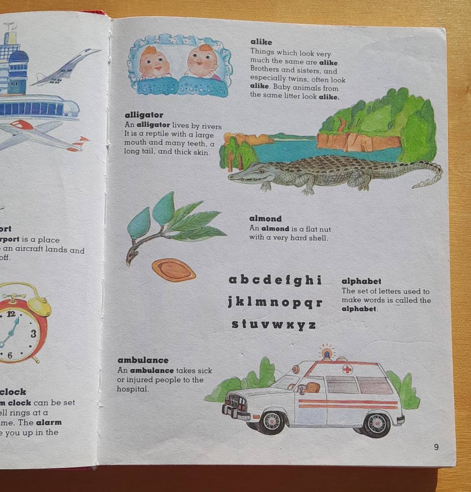 Children's picture dictionary