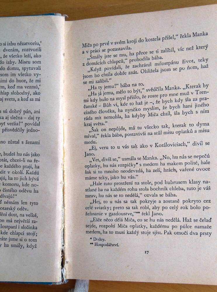 Pohorská vesnice / Povídka ze života lidu venkovského