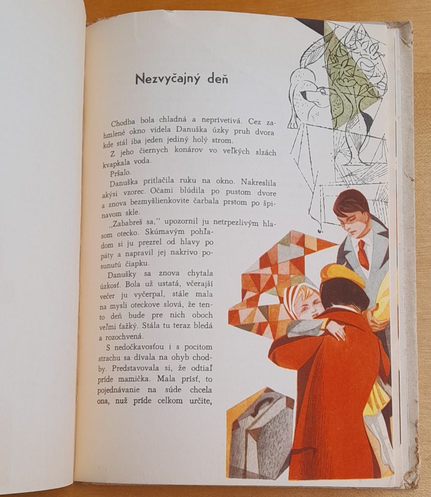 Danuška - Božena Mačingová