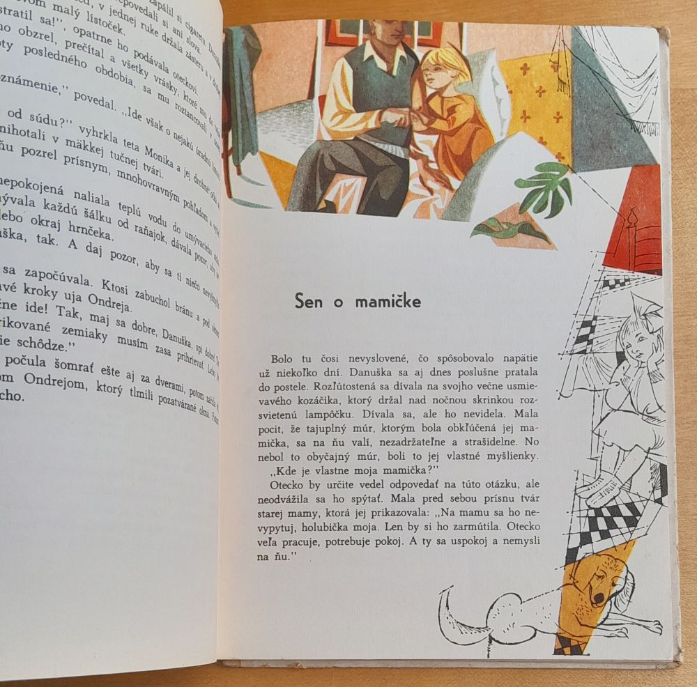 Danuška - Božena Mačingová