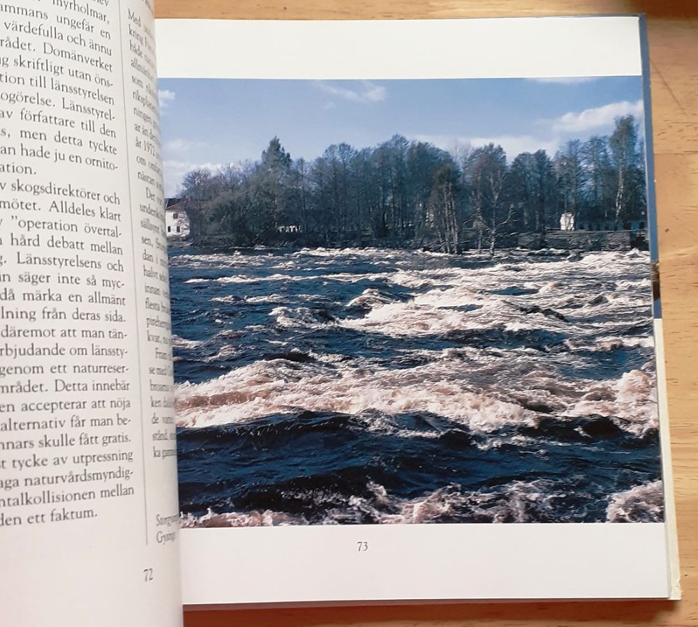 Nedre Dalälven: vildmark i Mellansverige