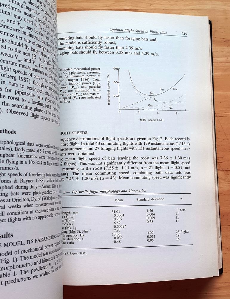 European bat research 1987