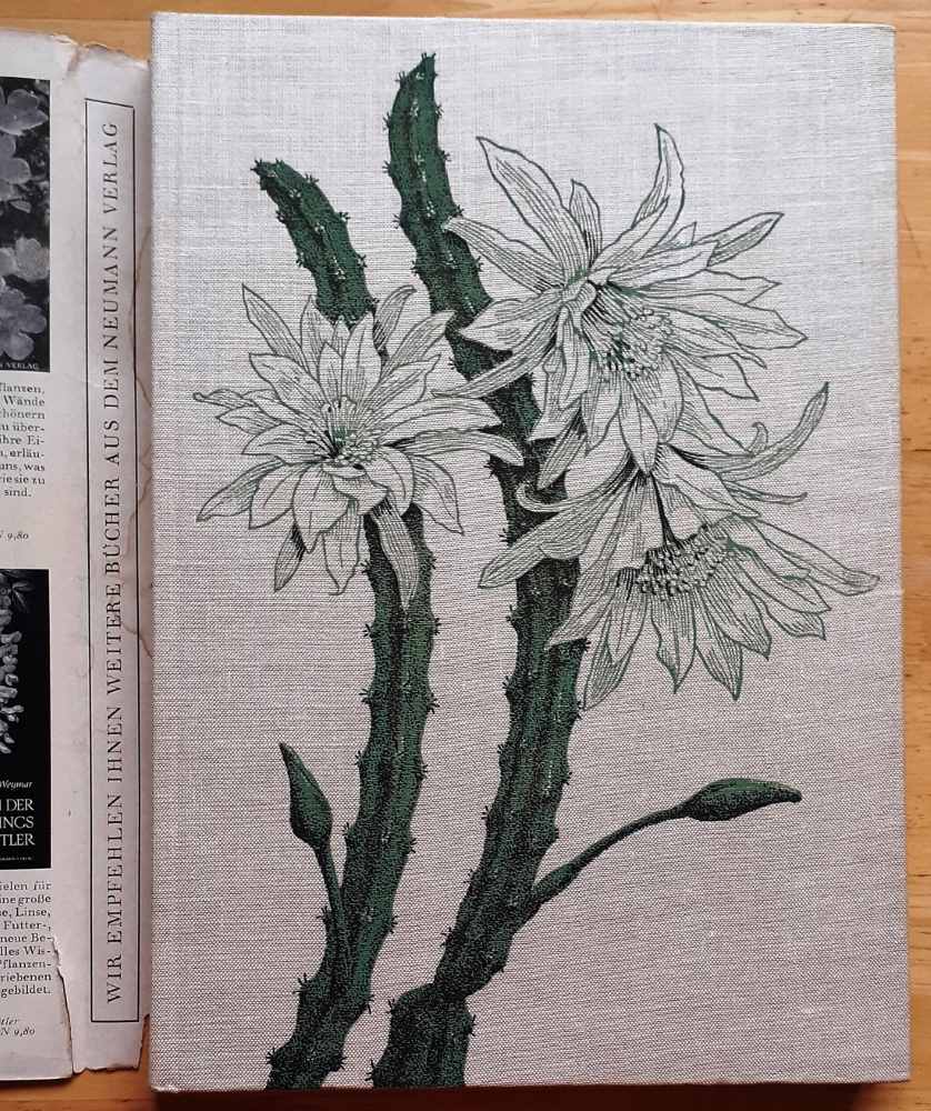 Freude mit Kakteen - Radosť s kaktusmi 