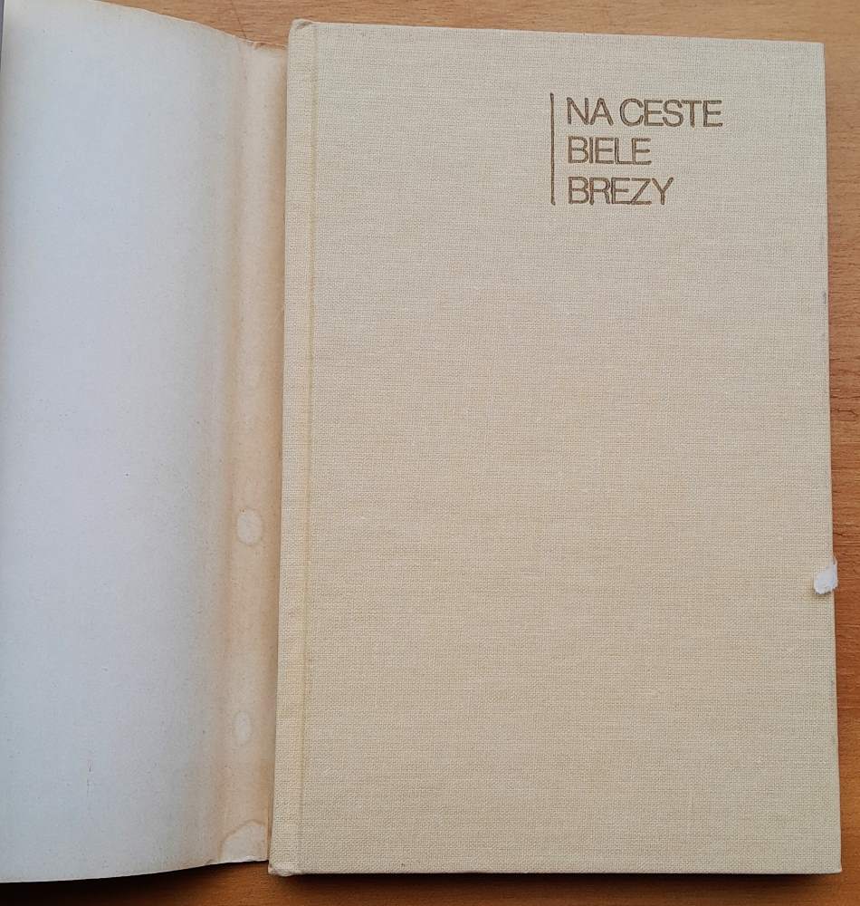 Na ceste biele brezy