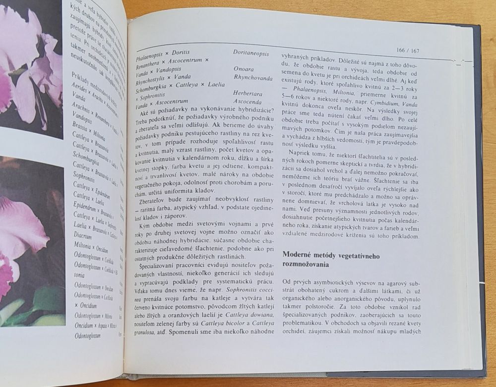 Orchidey (starostlivosť a pestovanie o ne)