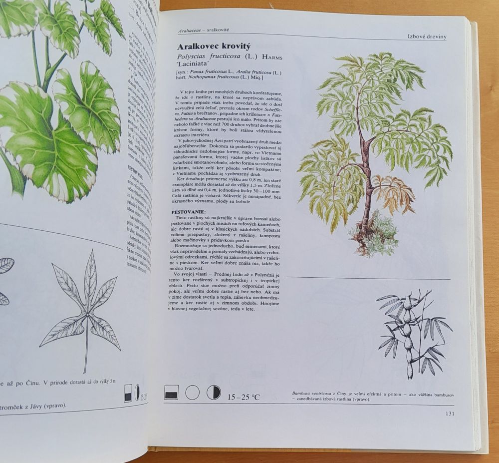 Izbové rastliny - ilustrované encyklopédia
