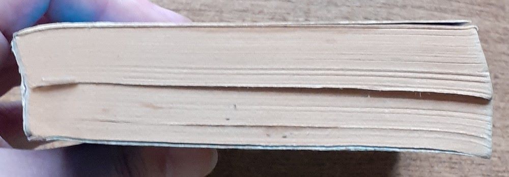 Podlehnout pokušení, Rebel a chladná kráska - Harlequin Fantazie 39