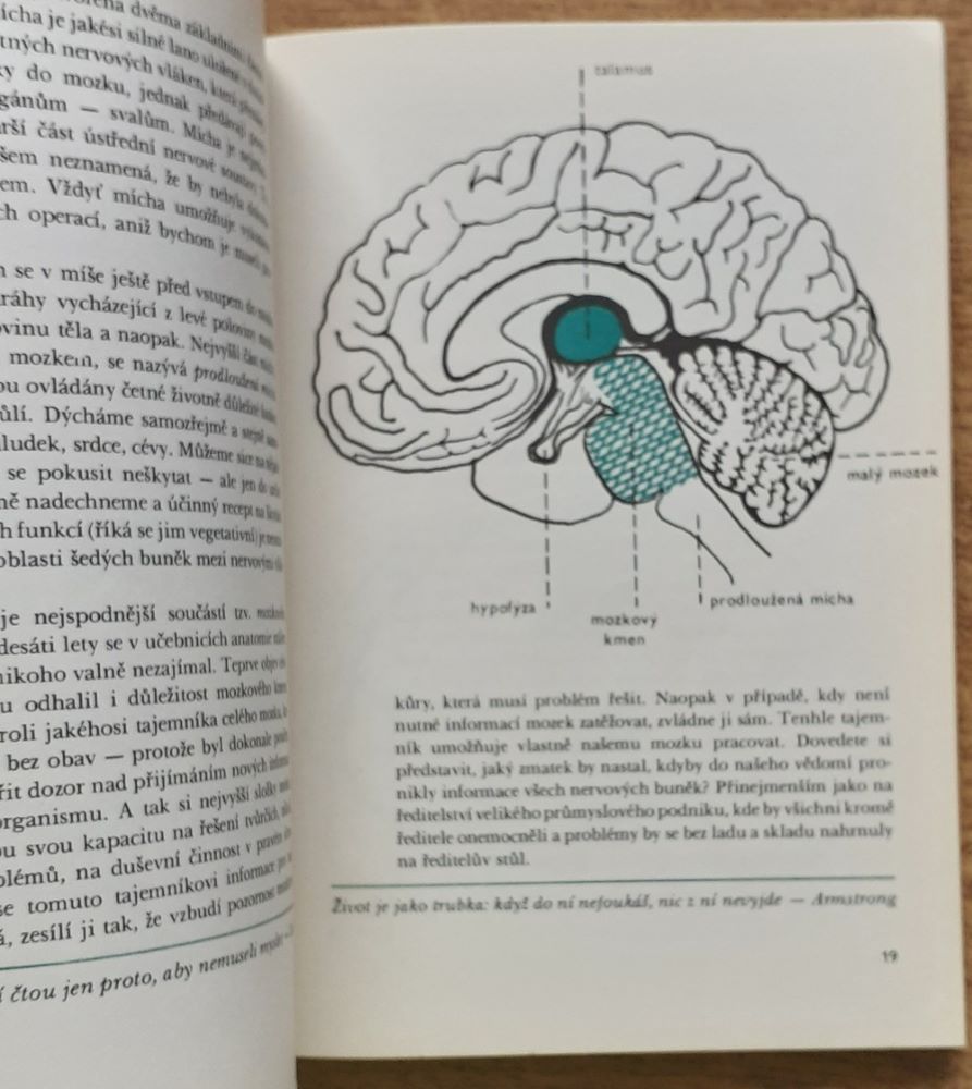Výlety pod vlastní kúži / Čtení o psychologii
