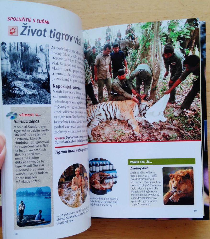 Výprava do barín / Tigre DVD