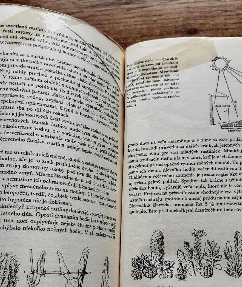 Kniha o kaktusoch / Moderné pestovanie a výber najkrajších kaktusov a ostatných sukulentov