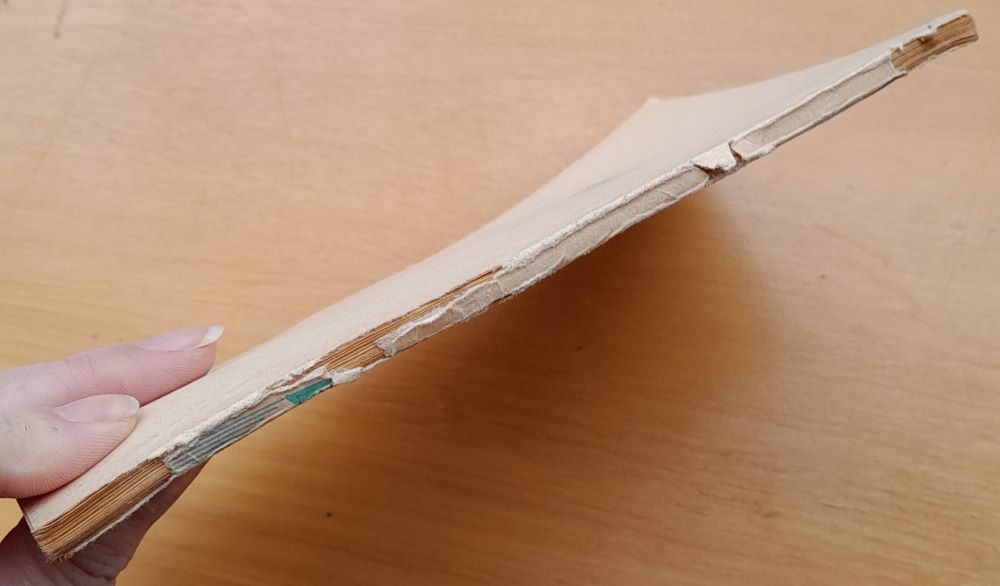 Nosáčik Pinocchio a jeho slávne dobrodružstvá