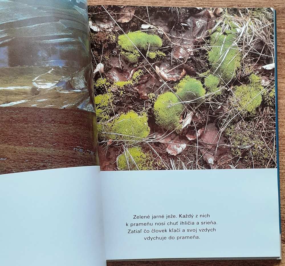 Rodná zem - fotografie