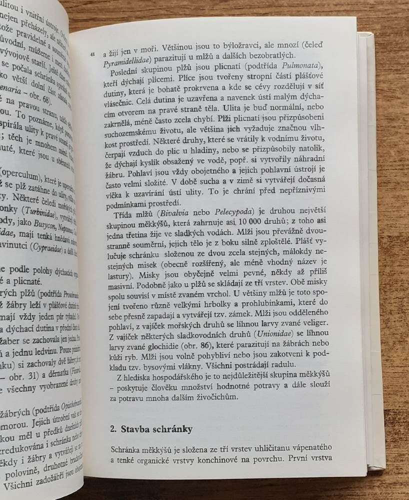 Krása lastur / Živou přírodou