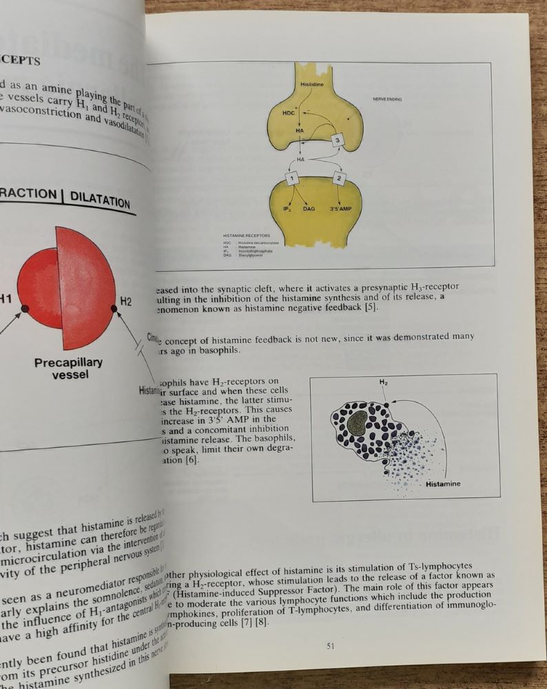 The allergic reaction (Alergická reakcia)