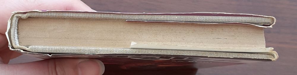 Angelika 5. / Angelika sa búri