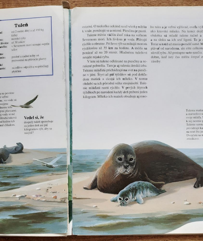 Zvieratá na pláži a na pobreží / Malá encyklopédia prírody